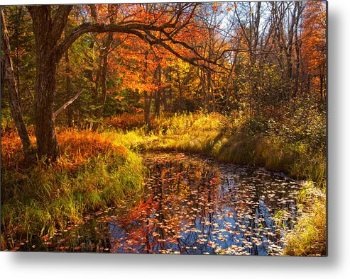 Kelly River Wilderness Metal Print featuring the photograph Fall Meadow Along The Kelly River by Irwin Barrett