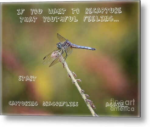 Dragonfly Art Metal Print featuring the photograph Feel Young Again by Carol Groenen