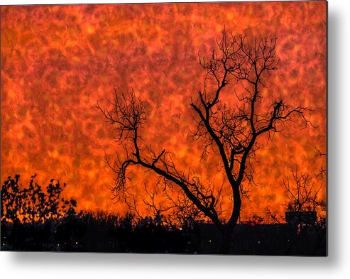 Orange Metal Print featuring the photograph Fire in the Sky by Jolynn Reed