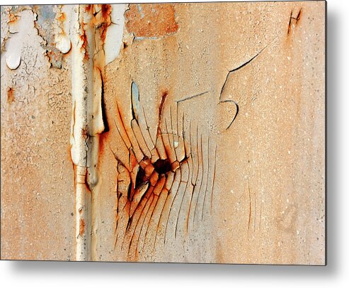Five Metal Print featuring the photograph FiveH by Barbara White