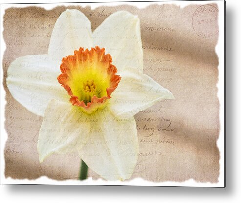 Flower Metal Print featuring the photograph Flower 0440 by Cathy Kovarik