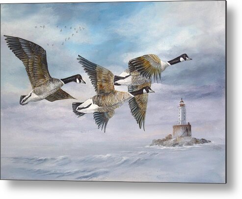 Aleutian Geese Metal Print featuring the painting Flying Home by Lynne Parker