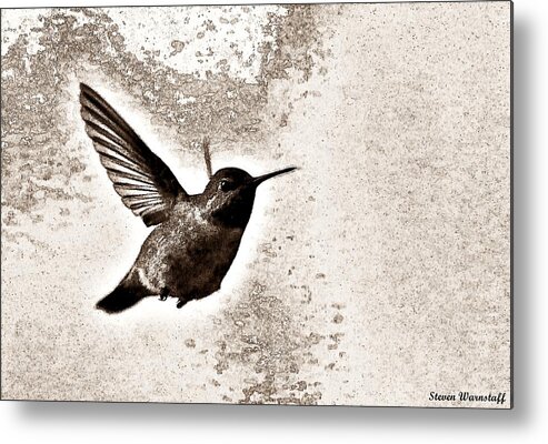 Nature Metal Print featuring the photograph Flying Into the Light by Steve Warnstaff
