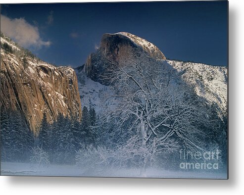 Yosemite National Park Metal Print featuring the photograph Fog Shrouded Black Oak Half Dome Yosemite Np California by Dave Welling