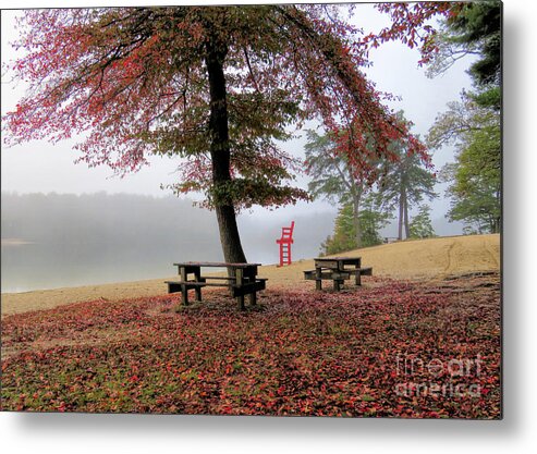 Tupelo Tree Metal Print featuring the photograph Foggy Morning at Morton Park by Janice Drew