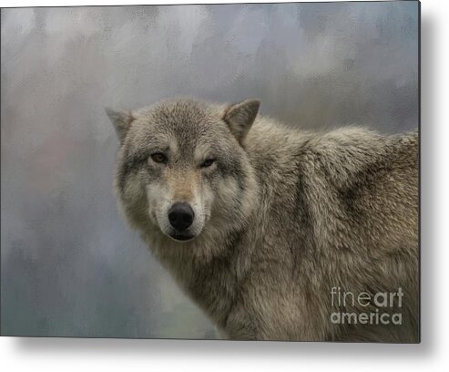 Alaskan Timber Wolf Metal Print featuring the photograph Friendly Wink by Eva Lechner
