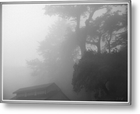 Bonnie Follett Metal Print featuring the photograph Frisco Fog by Bonnie Follett