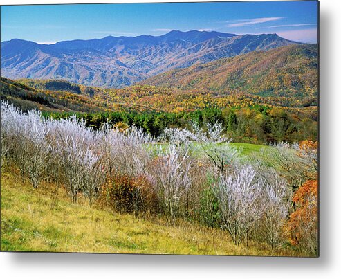 Mountain Vista Metal Print featuring the photograph Frosty Morn from Max Patch by Alan Lenk