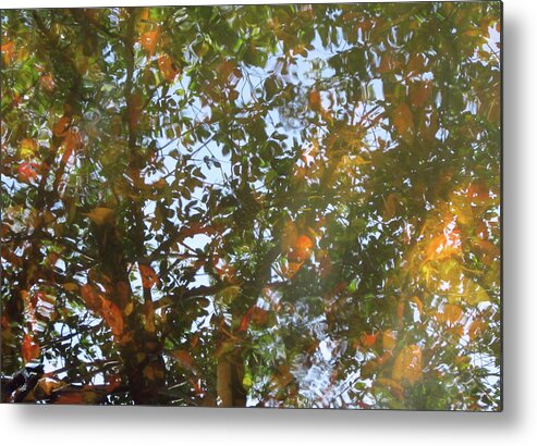 Water Metal Print featuring the photograph Aqueous Reflections 4 by Laura Davis