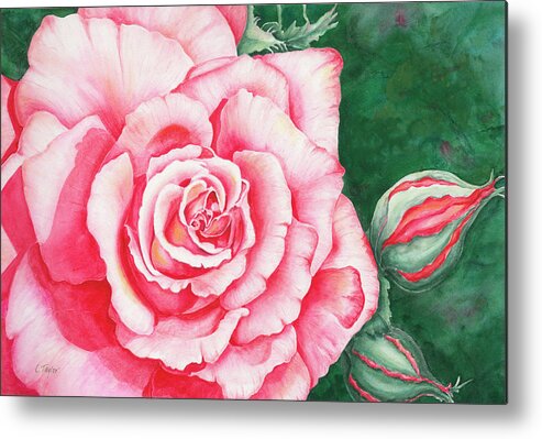 Rose Metal Print featuring the painting Full Bloom by Lori Taylor