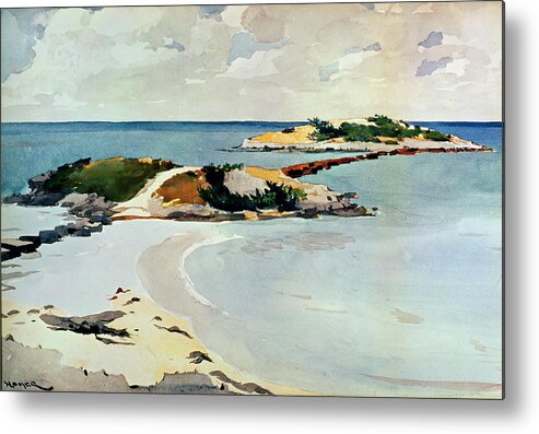 Winslow Homer Metal Print featuring the drawing Gallows Island by Winslow Homer