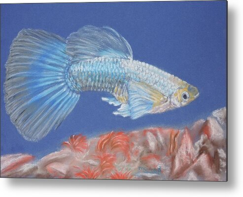 Guppy Gill Reef Sea Pastel Art Metal Print featuring the pastel Gill by Sandra Muirhead