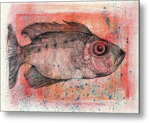 Fish Metal Print featuring the mixed media Glasseye Snapper by AnneMarie Welsh