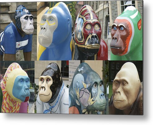 Gorilla Metal Print featuring the photograph Gorillas In The Street by David Birchall