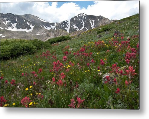 Gray's Peak Metal Print featuring the photograph Gray's and Torreys by Cascade Colors