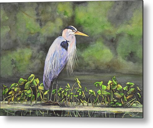 Great Blue Heron Metal Print featuring the painting Great Blue Heron on Lily Pad by Laurie Tietjen