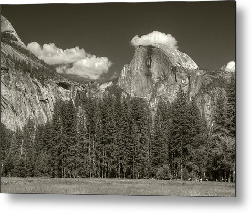  Metal Print featuring the photograph Half Dome from Meadow by Michael Kirk