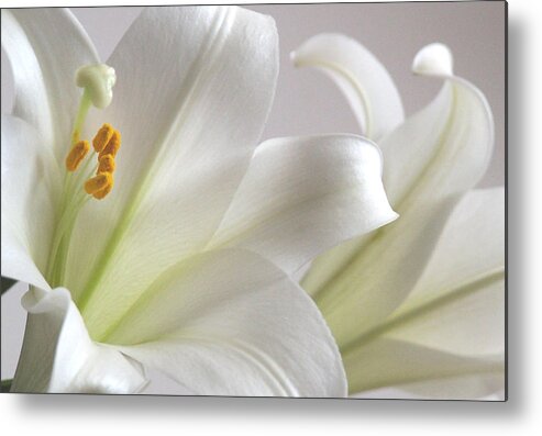 Easter Metal Print featuring the photograph Happy Easter by Steven Huszar