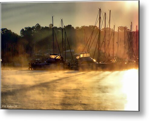 2d Metal Print featuring the photograph Harbor Mist by Brian Wallace