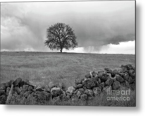 Landscape Metal Print featuring the photograph Here comes the storm by Richard Verkuyl
