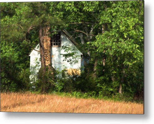 Pennsylvania Metal Print featuring the photograph Hide and Seek by Kathleen Scanlan