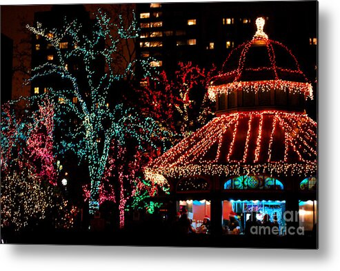 Lincoln Park Zoo Metal Print featuring the photograph Holiday Lights at Lincoln Park Zoo by Nancy Mueller