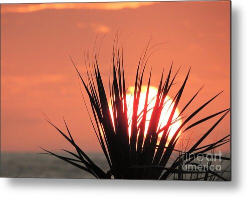 Sun Metal Print featuring the photograph Horizon Sunrise by Jan Gelders