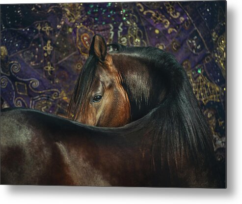 Russian Artists New Wave Metal Print featuring the photograph Horse Portrait with Carpet by Ekaterina Druz