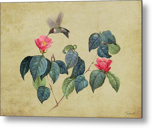 Camillea Metal Print featuring the digital art Hummingbird and Japanese Camillea by M Spadecaller