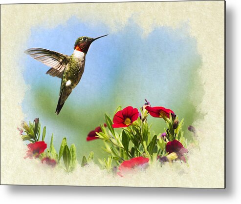 Beautiful Metal Print featuring the mixed media Hummingbird Frolic Blank Note Card by Christina Rollo