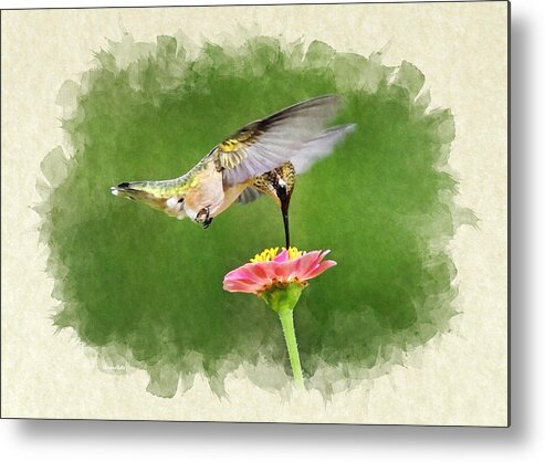Invitation Metal Print featuring the mixed media Hummingbird Sun Sweet Blank Note Card by Christina Rollo