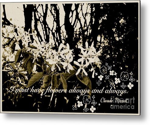 Monet's Flowers Metal Print featuring the photograph I must Have Flowers in Sepia by Joan-Violet Stretch