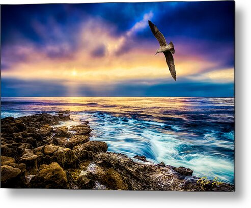 Cloudy Metal Print featuring the photograph Into Mist and Light by Rikk Flohr