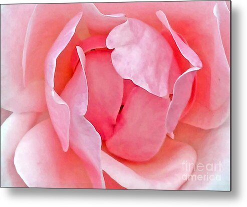 Rose Metal Print featuring the photograph Into My Heart by Jasna Dragun