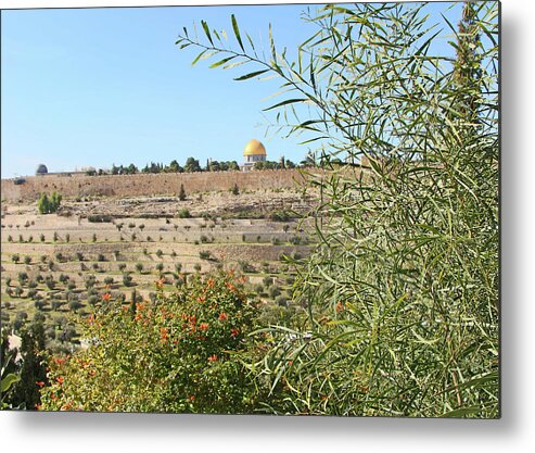 Jerusalem Metal Print featuring the photograph Jerusalem Plants by Munir Alawi