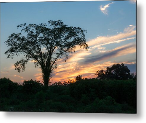 Sunset Metal Print featuring the photograph July Sunset by Holden The Moment