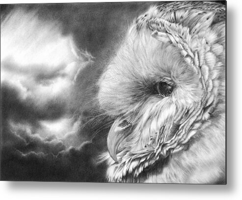 Owl Metal Print featuring the drawing Keeper of Secrets by Peter Williams