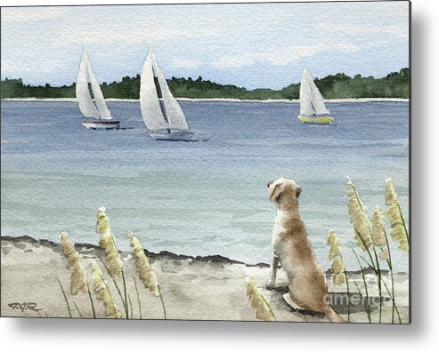 Labrador Metal Print featuring the painting Labrador Retriever Watching the Sailboats by David Rogers