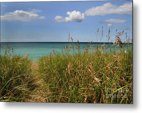 Michigan Metal Print featuring the photograph Lake Michigan Beauty by Amy Lucid