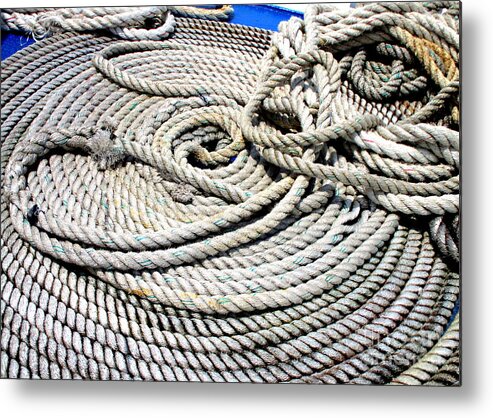 Rope Metal Print featuring the photograph Learning The Ropes by Randall Weidner