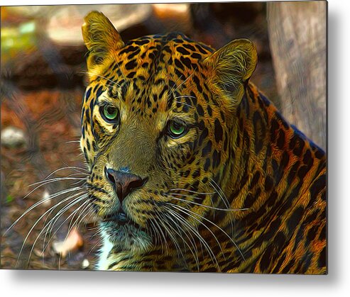 Leopard Metal Print featuring the photograph Leopard Painted Vibrant Colors by Judy Vincent