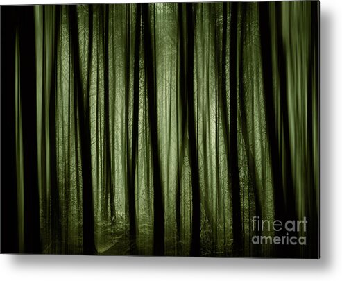 Nature Metal Print featuring the photograph Light in the Darkness by David Lichtneker