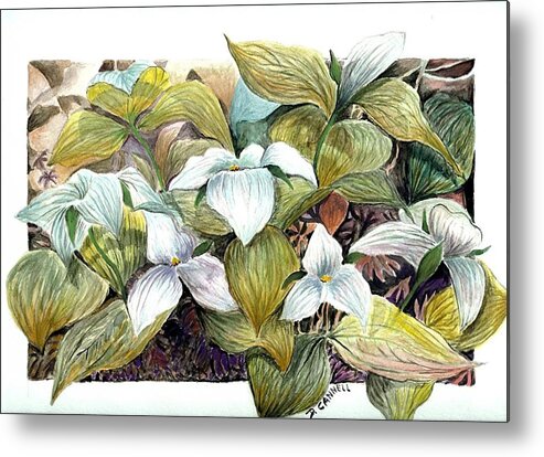 Flower Metal Print featuring the painting Lillies by Darren Cannell