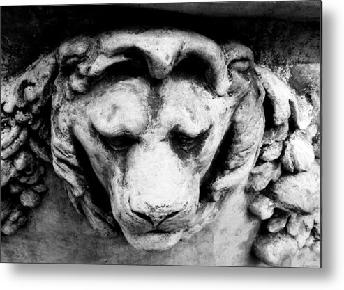 Lion Metal Print featuring the photograph Lion by Dark Whimsy