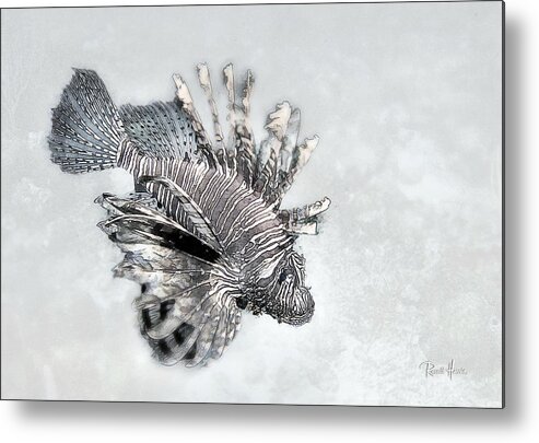 Fish Metal Print featuring the photograph Lionfish by Russ Harris