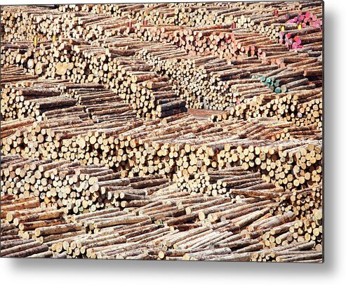 Logs Metal Print featuring the photograph Logs by Ramunas Bruzas