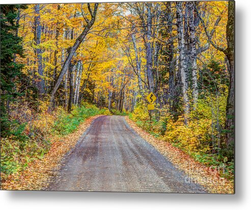 Autumn Metal Print featuring the photograph Long and Winding Autumn Roads North Shore Minnesota by Wayne Moran