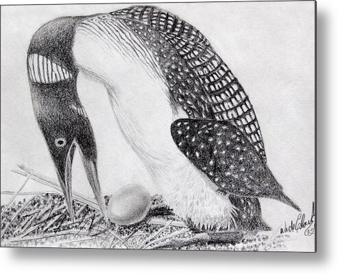 Graphite Pencil Metal Print featuring the drawing Loon mother by Wade Clark