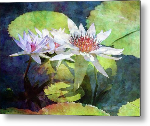 Lotus Trio Metal Print featuring the photograph Lotus Trio 2923 IDP_2 by Steven Ward