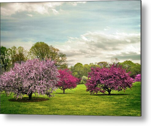 Spring Metal Print featuring the photograph May Meadow by Jessica Jenney
